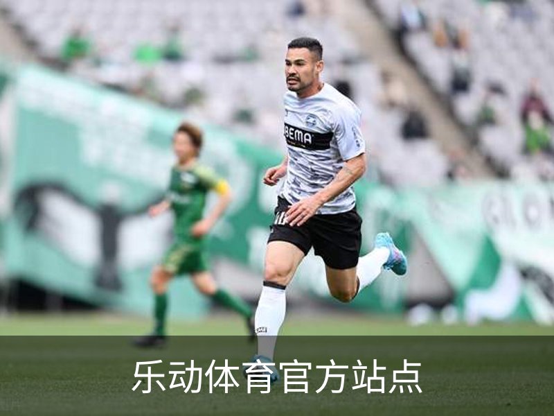 乐动体育官方站点概况